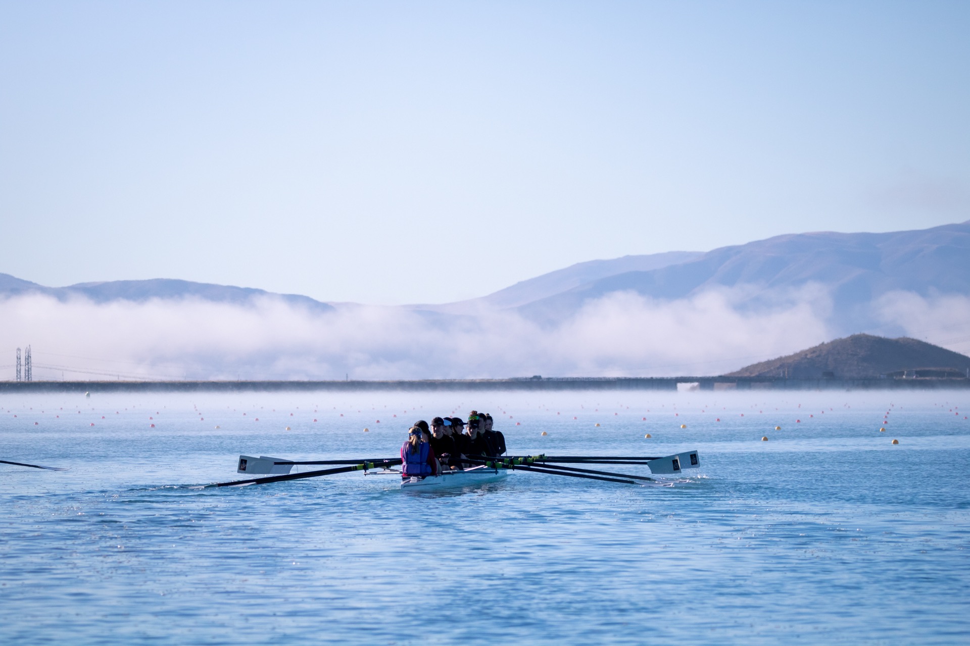 Rowing crew gliding through fog on Wellington Harbour